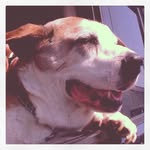 Regan Wilmarth-Benson - @morenarenovations - Instagram