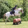 Reagan Gallagher - @gucci_eventer.spamz - TikTok