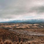 Regan Hill - @regans_photography_ - Instagram