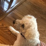 regan🐾 - @regan._lee - Instagram