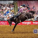 Regan Lyons - Facebook