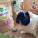 Regan Marks - @lumi_and_stella - Instagram