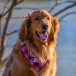 Reagan Pace - @browneyedpumpkinpie - Instagram