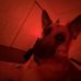 Reagan Sayer - Facebook