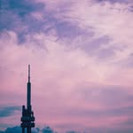 Regan - @regan_warner8.70 - Instagram