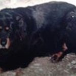 Reggie Baker - @reggieb287 - Instagram