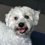 Reggie Baker - @reggie_the_chonzer - Instagram