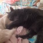 Mugzisosweet - @barronreggie53 - Instagram