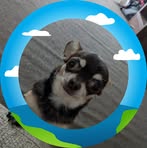 Reggie Bartlett - Facebook