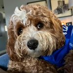Reggie Bates - @rockstarreggie42 - Instagram