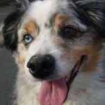 @beckhamreggieblue - Instagram