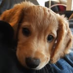 @reggie.is.best - Instagram