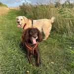 Reggie 🤎 & Hugo 💛 - @reggie_hugo_best_bits_of_life - Instagram