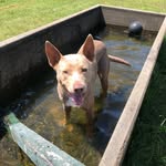 Reggie - @reggie_is.best - Instagram
