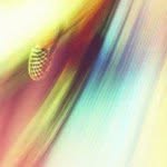 brayd0n - @reggiebraydon - Instagram
