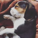 Reggie Bray - @reggiebray - Instagram