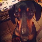 @reggie_buchanan24 - Instagram