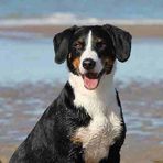 Reggie Buckley - Facebook
