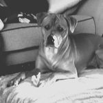Reggie Carney - @reg11carney - Instagram