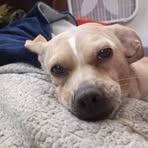 Reggie Charles Sugak - Facebook