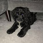 @reggie_craner - Instagram
