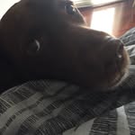 Reg Farrell - @reggie_farrell - Instagram
