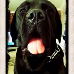Reggie Farrell - @reggie.farrell.186 - Instagram