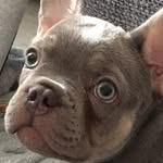 Reggie - @reggie_farrell1 - Instagram