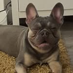 @reggiefarrell12 - Instagram
