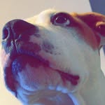 Reginald “Reggie” Farrell - @reginaldfarrell14 - Instagram