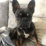 Reggie Murphy - @reggiegilesmurphy20 - Instagram