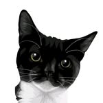 Reggie Tux Goodwin - @reggie_tux - Instagram