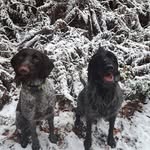 Reggie Gregory - @rgregory2011 - Instagram