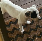 Reggie Gregory - Facebook