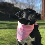Reginald Gregory Pawson III - @reggie.gif - Instagram
