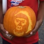Reggie Haley - @studentreggie - Instagram
