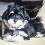 Reggie Hall - @reggiehall_ - Instagram