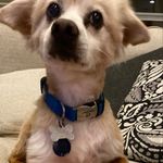 Reggie Hall - @reggie_halll - Instagram