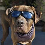 Reggie Hall - @myboyreggie - Instagram