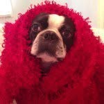 Reggie E. Hansen - @reggggie10 - Instagram