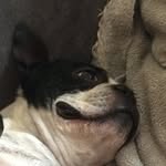 Reggie - @reggie_hansen - Instagram