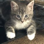 Reggie - @reggie_heath2018 - Instagram