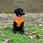 Reggie Holt - @_brooklyn_belle - Instagram