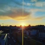 Reggie Johnston McGuire - @johnward654 - Instagram