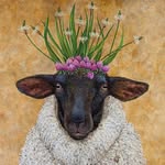 Reggie Kramer-Dunne - @kramerdunne - Instagram