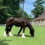 Reggie Long - Facebook