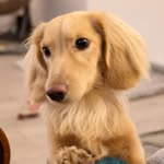 Reggie - @reggielongbody - Instagram