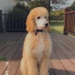 Reggie martinez - @reggi3_martinez - Instagram