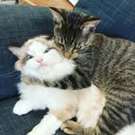 Reggie & Miles - @reggieandmilesadventures - Instagram