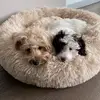 Murphy_Reggie - @murphy_reggie - TikTok